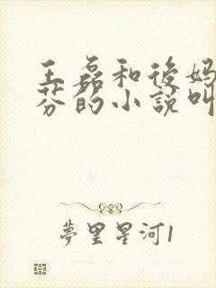 王磊和后妈杨晓芬的小说叫什么