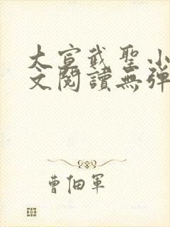 大宣武圣小说全文阅读无弹窗