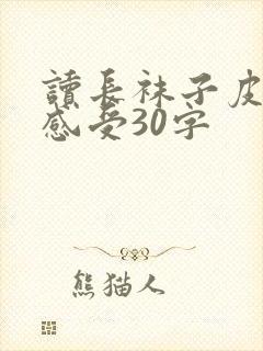 读长袜子皮皮的感受30字