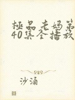 极品老妈第8季40集全播放