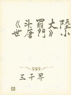 《斗罗大陆2绝世唐门》小说封面