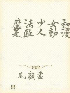 魔法少女和恶曾是敌人动漫