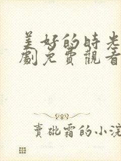 美好的时光电视剧免费观看全集在线观看封面