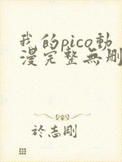 我的pico动漫完整无删减