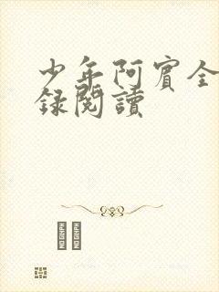 少年阿宾全文目录阅读