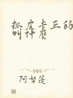 抓皮卡丘的游戏叫什么