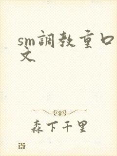sm调教重口h文