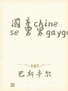 国产chinese 男男gaygay网站