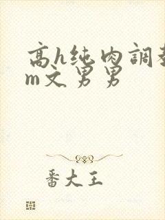 高h纯肉调教sm文男男