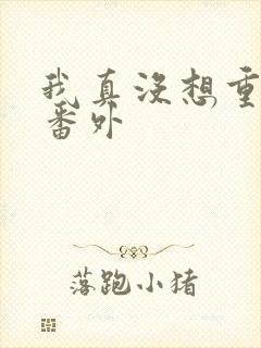 我真没想重生呀番外封面