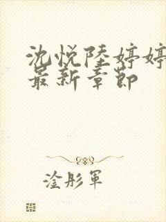 沈悦陆婷婷小说最新章节封面