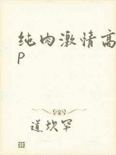 纯肉激情高hnp封面