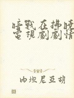 暗战在拂晓之前电视剧剧情