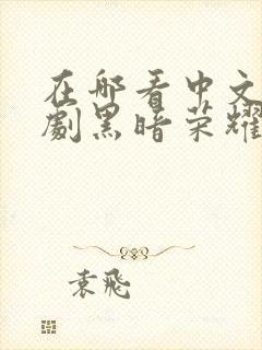 在哪看中文版韩剧黑暗荣耀第二季