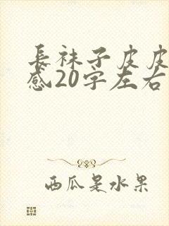 长袜子皮皮读后感20字左右