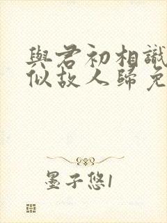 与君初相识·恰似故人归免费封面