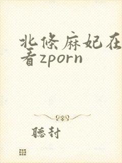 北条麻妃在线观看zporn
