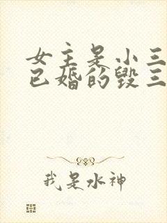 女主是小三男主已婚的毁三观小说封面