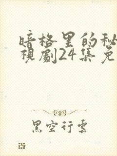 暗格里的秘密电视剧24集免费观看