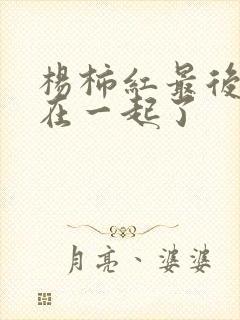 杨柿红最后和谁在一起了