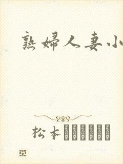 熟妇人妻小说