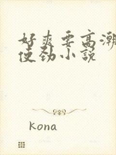 好爽要高潮了快使劲小说