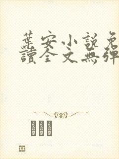 叶安小说免费阅读全文无弹窗