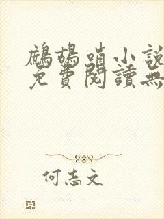 鹧鸪哨小说网站免费阅读无弹窗