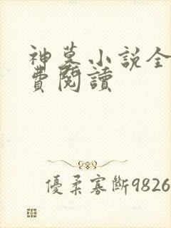神墓小说全本免费阅读封面