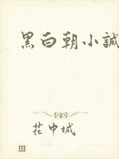 黑白朝小诚