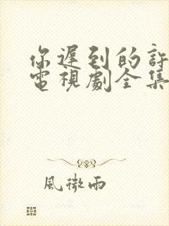 你迟到的许多年电视剧全集在线播放