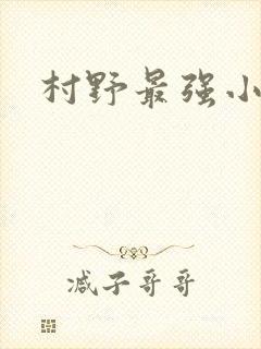 村野最强小农民封面