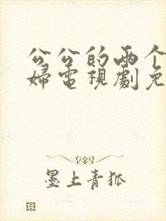 公公的两个儿媳妇电视剧免费观看