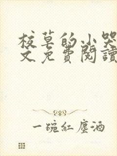 校草的小哭包全文免费阅读