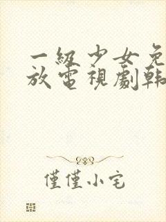 一级少女免费播放电视剧韩剧大全