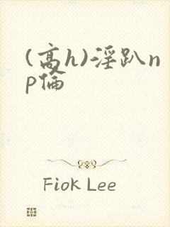 (高h)淫趴np伦