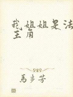 我姐姐是法官女主角封面