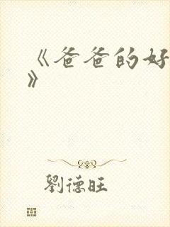 《爸爸的好儿子》封面