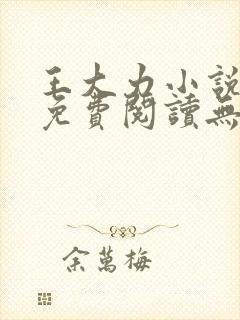 王大力小说小说免费阅读无弹窗封面