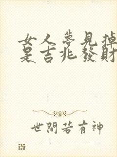 女人梦见掉河里是吉兆发财封面