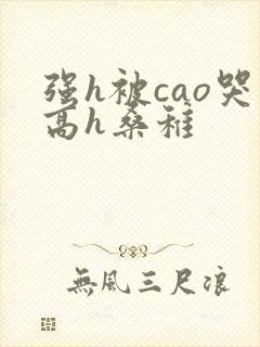 强h被cao哭高h桑稚封面