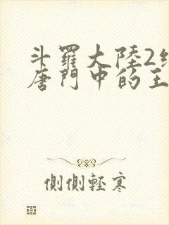 斗罗大陆2绝世唐门中的王冬