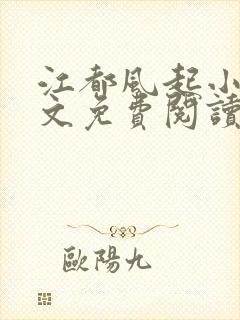 江都风起小说全文免费阅读无弹窗封面