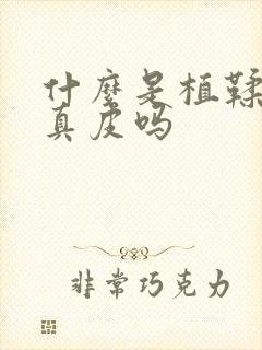 什么是植鞣皮是真皮吗