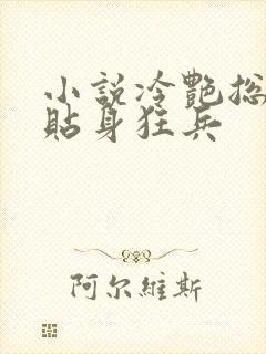 小说冷艳总裁的贴身狂兵