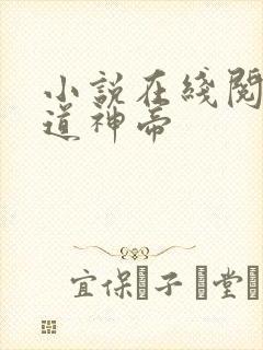 小说在线阅读万道神帝