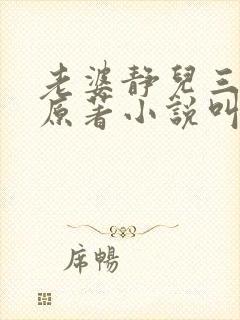 老婆静儿三部曲原著小说叫什么封面