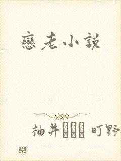 恋老小说
