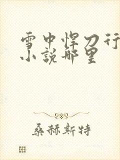 雪中悍刀行演到小说哪里
