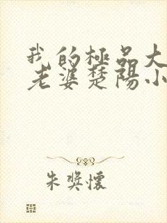 我的极品大小姐老婆楚阳小说阅读封面